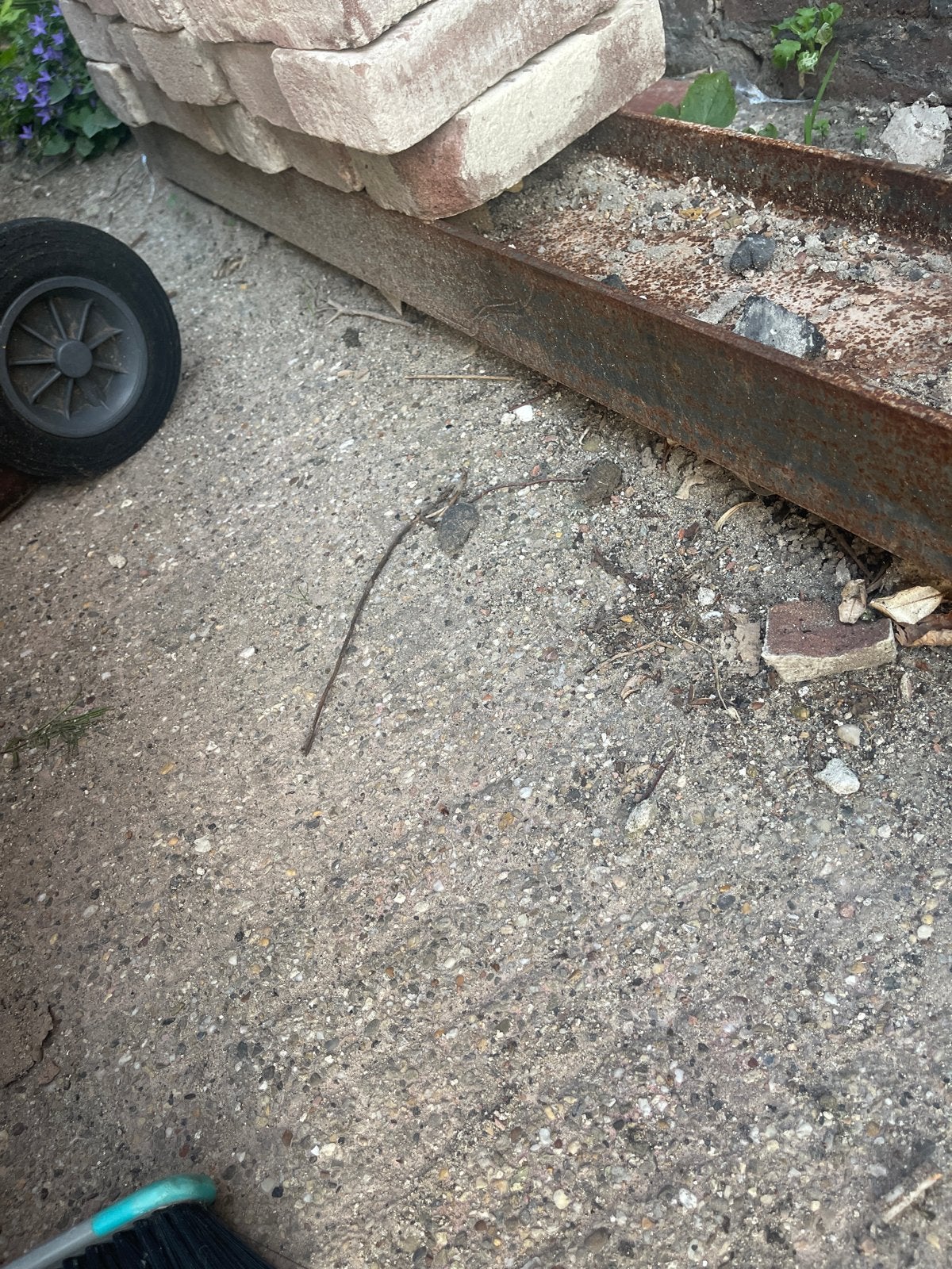 Stalen balk 5,5 meter, Ophalen of Verzenden, Gebruikt, IJzer