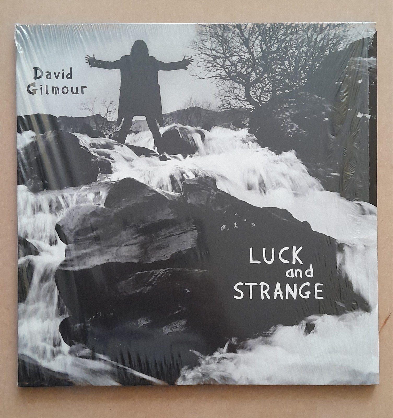 lp david gilmour - luck and strange, Cd's en Dvd's, Vinyl | Rock, Ophalen of Verzenden, Nieuw in verpakking, 12 inch, Poprock