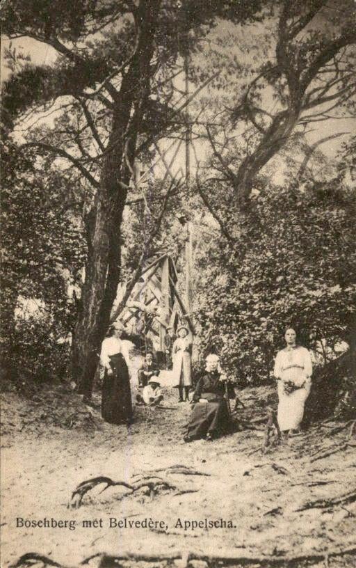 Appelscha - Boschberg met Belvedère, Ophalen of Verzenden, Voor 1920, Gelopen, Friesland