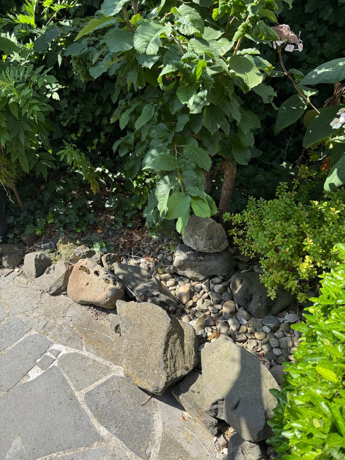 Gratis stenen / keien / kiezel, Tuin en Terras, Grind, Keien en Split, Ophalen, Overige materialen, Gebruikt, Kei