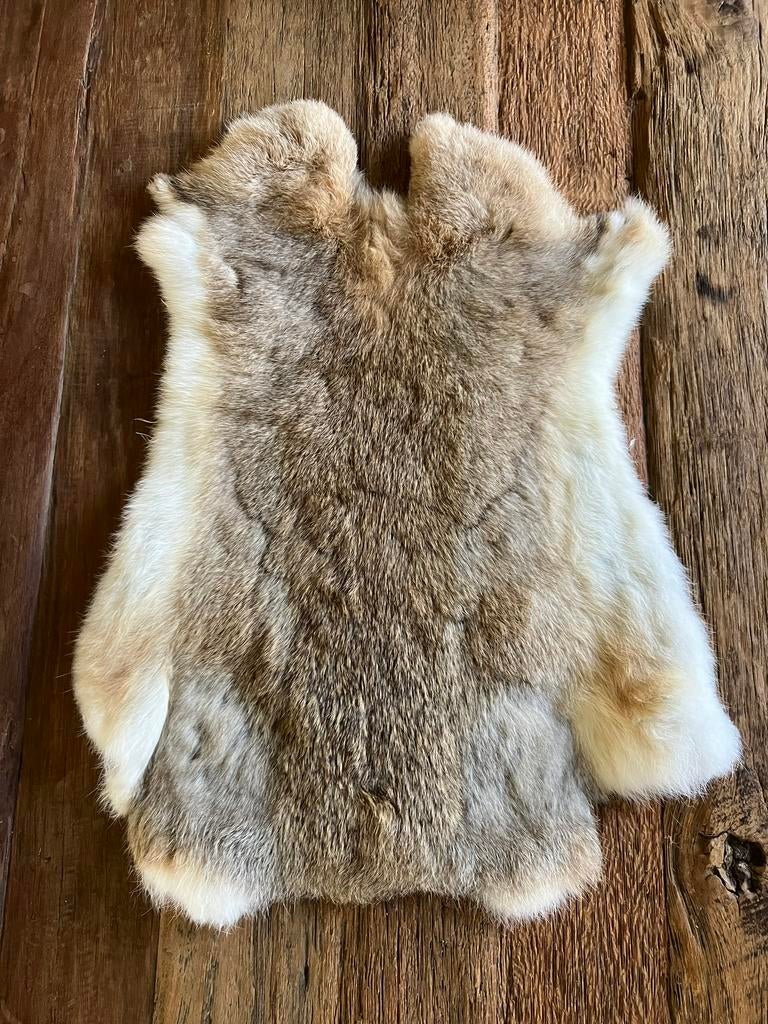 Wildkleur konijnenvachten, Ophalen of Verzenden, Nieuw