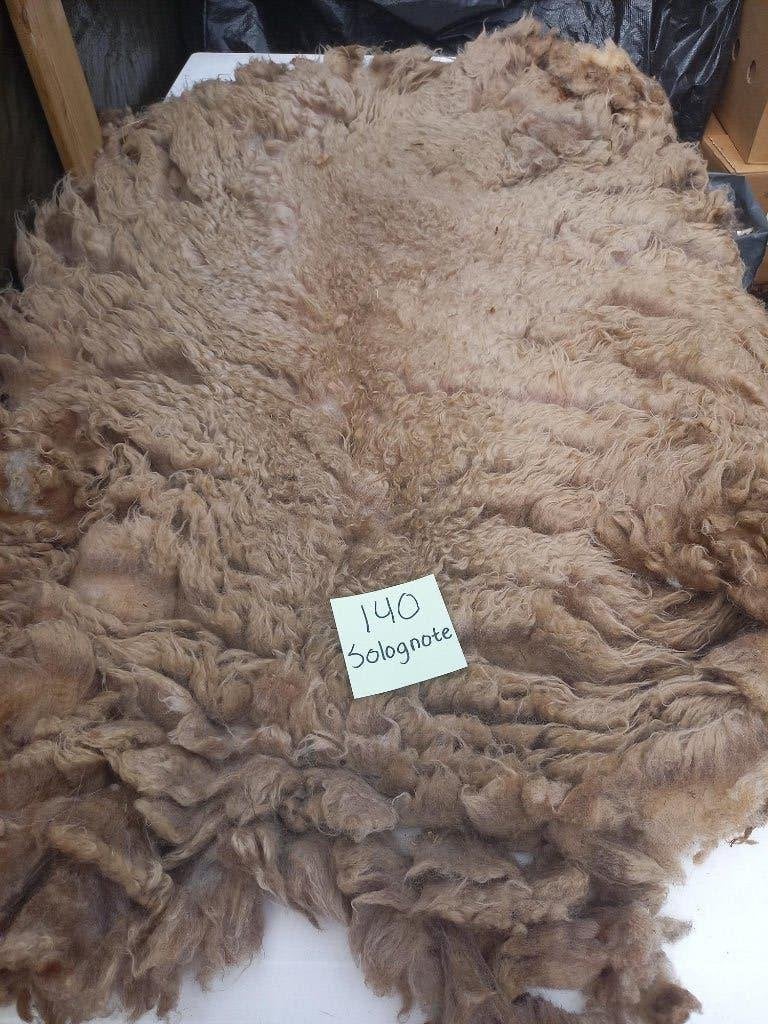 nr 140 Geschoren vacht van een Solognote schaap, Ophalen of Verzenden, Gebruikt