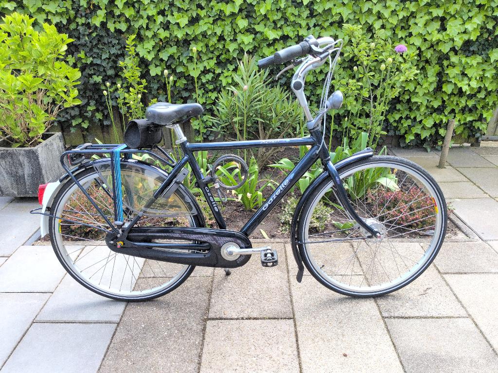 Gazelle Accent, Fietsen en Brommers, Fietsen | Oldtimers, Ophalen, Velgrem, Jaren '20 of ouder, 55 tot 59 cm