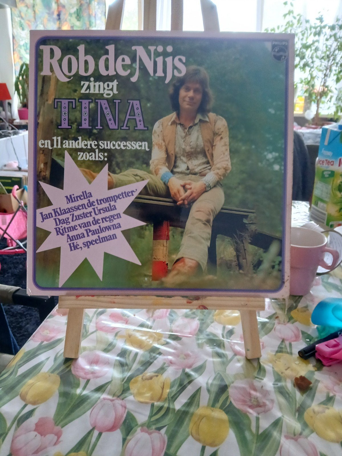 Rob de Nijs zingt Tina en 11 andere successen LP, LP, Gebruikt, Ophalen of Verzenden, Pop