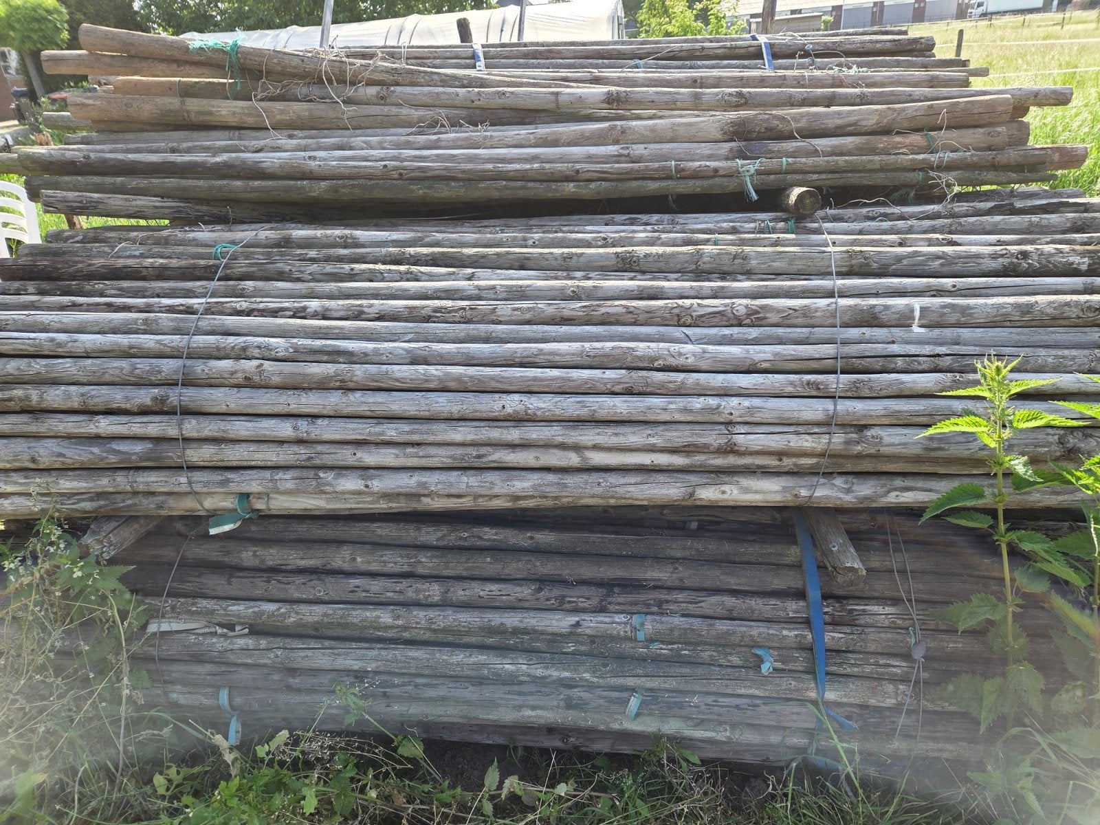 Gebruikte fruitboompalen - 2,5 meter, Tuin en Terras, Palen, Balken en Planken, Ophalen, Gebruikt, 250 cm of meer, Palen