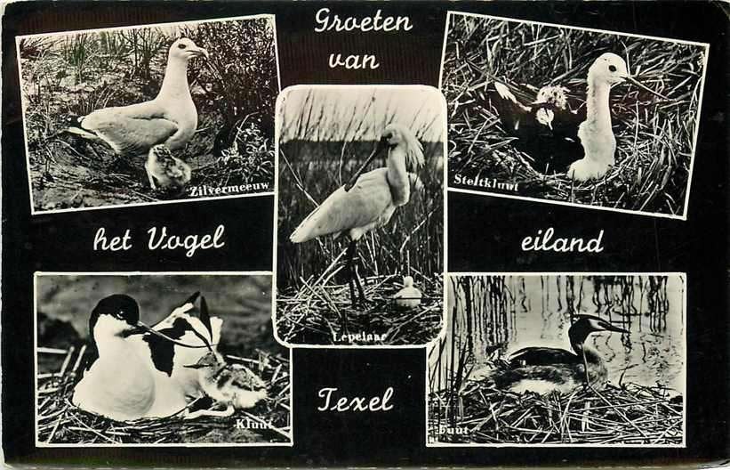 377-673-005 Texel, Verzenden, Voor 1920, Noord-Holland