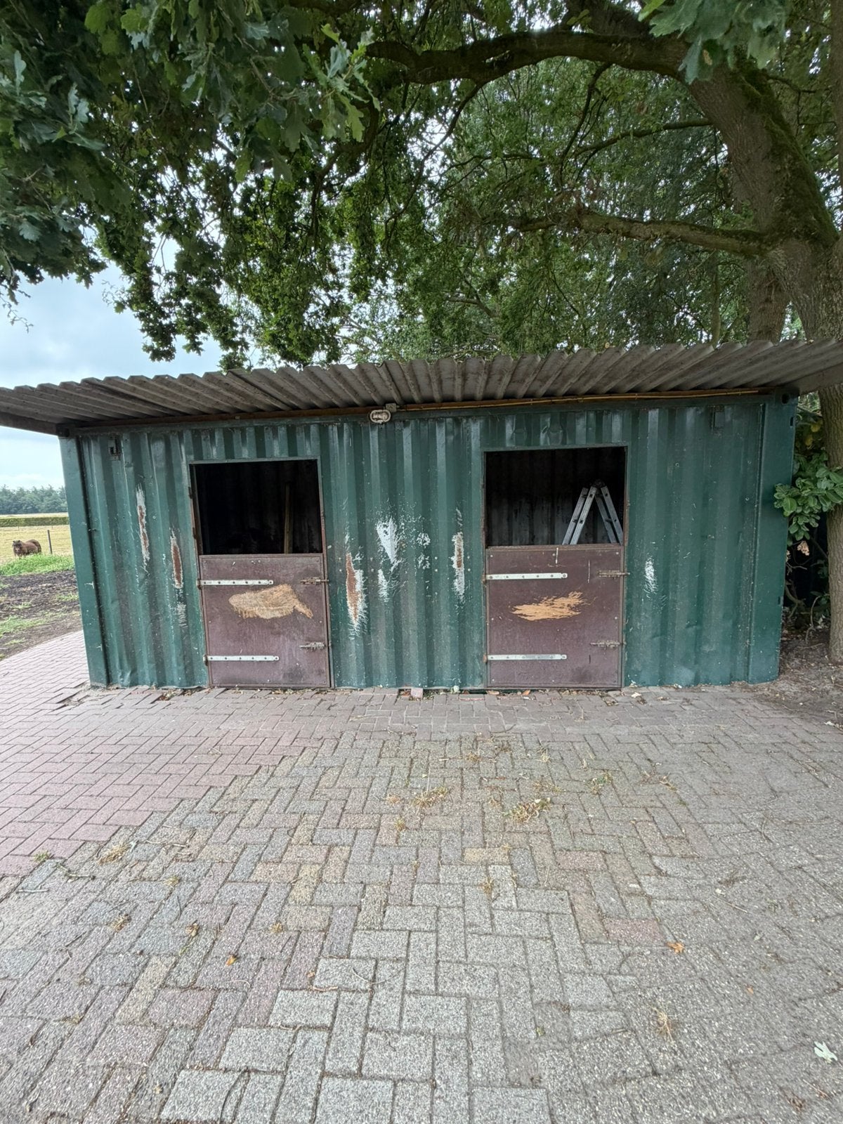 Containerstal 1 - staal - 20ft, Stalling, 2 of 3 paarden of pony's