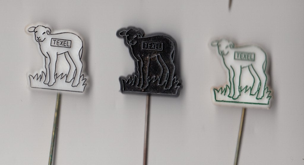 Texel Schaap speldjes, Verzamelen, Gebruikt, Niet vindbaar, Niet vindbaar, Speldje of Pin