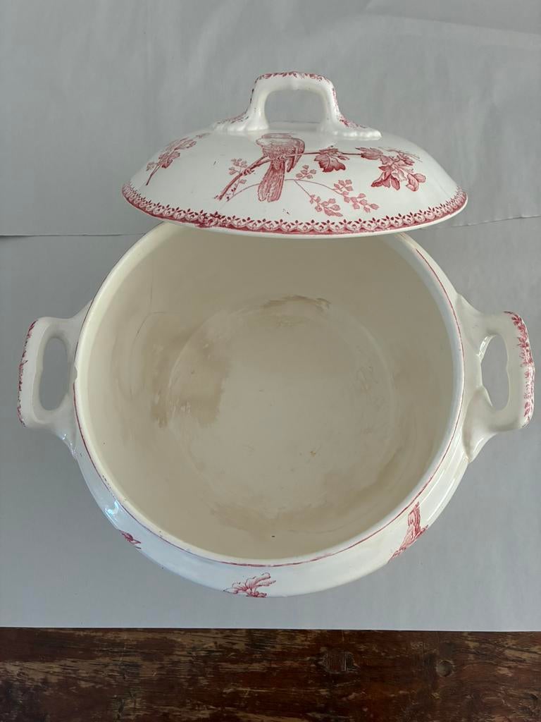Mooie soupterine, Ophalen of Verzenden