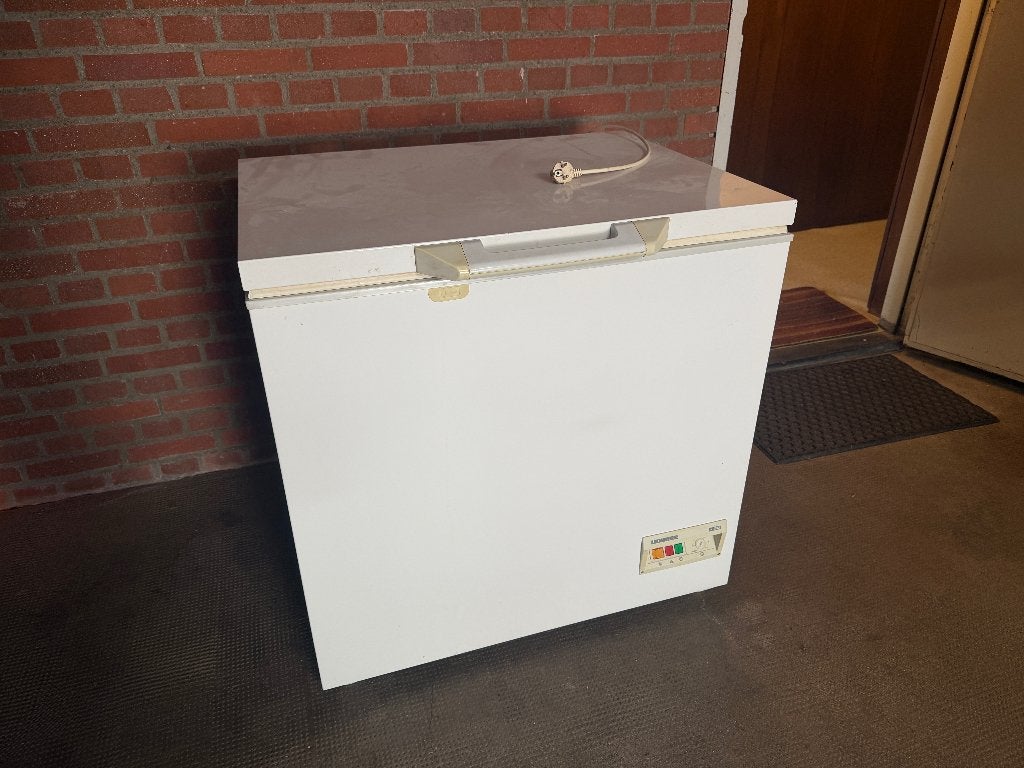 Liebherr Vriezer, Witgoed en Apparatuur, Vrieskist, Gebruikt, Ophalen, 85 tot 120 cm