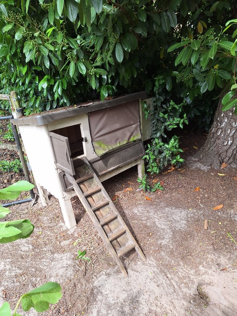 te koop kippenhok, Dieren en Toebehoren, Ophalen, Gebruikt, Kippenhok of Kippenren