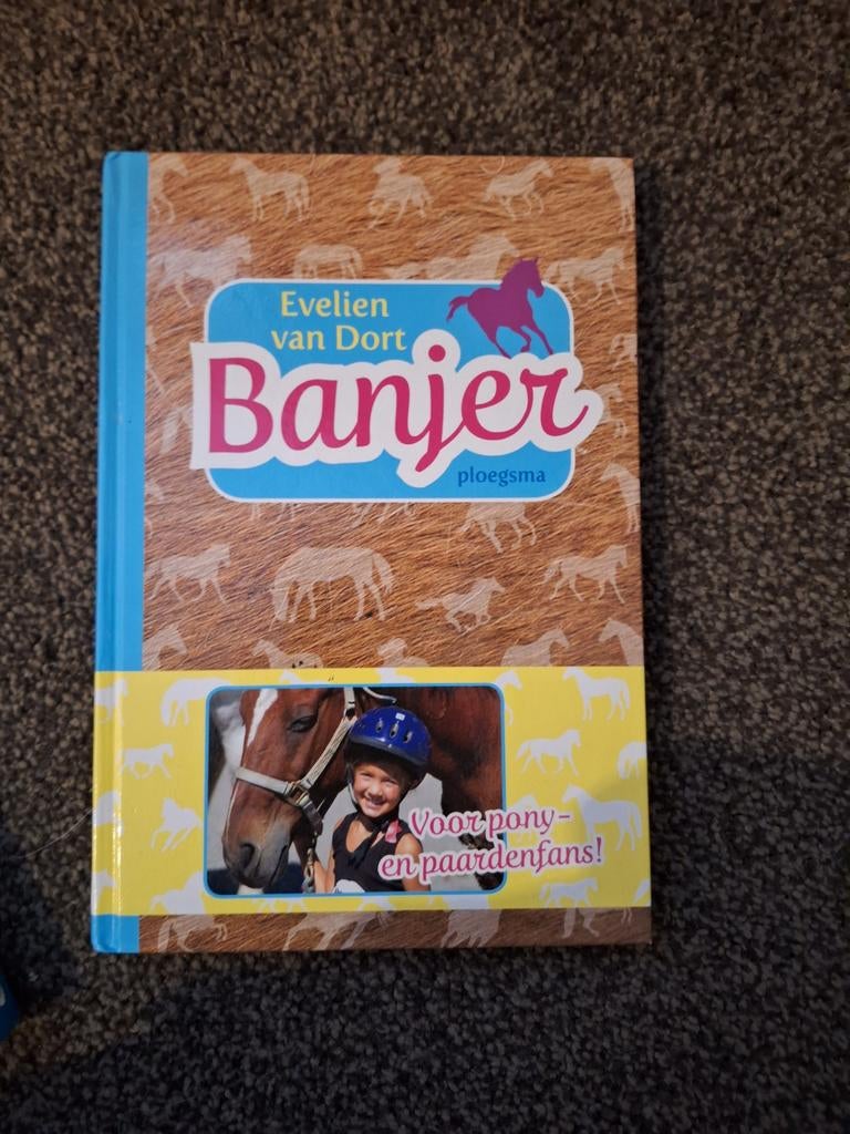 Evelien van Dort - Banjer, Fictie algemeen, Ophalen of Verzenden, Zo goed als nieuw, Evelien van Dort