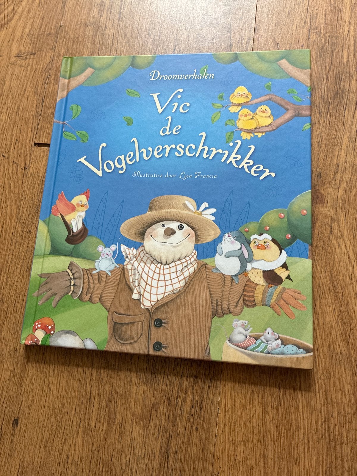 Vic de Vogelverschrikker - Droomverhalen, Ophalen, Fictie algemeen, Jongen of Meisje, Zo goed als nieuw