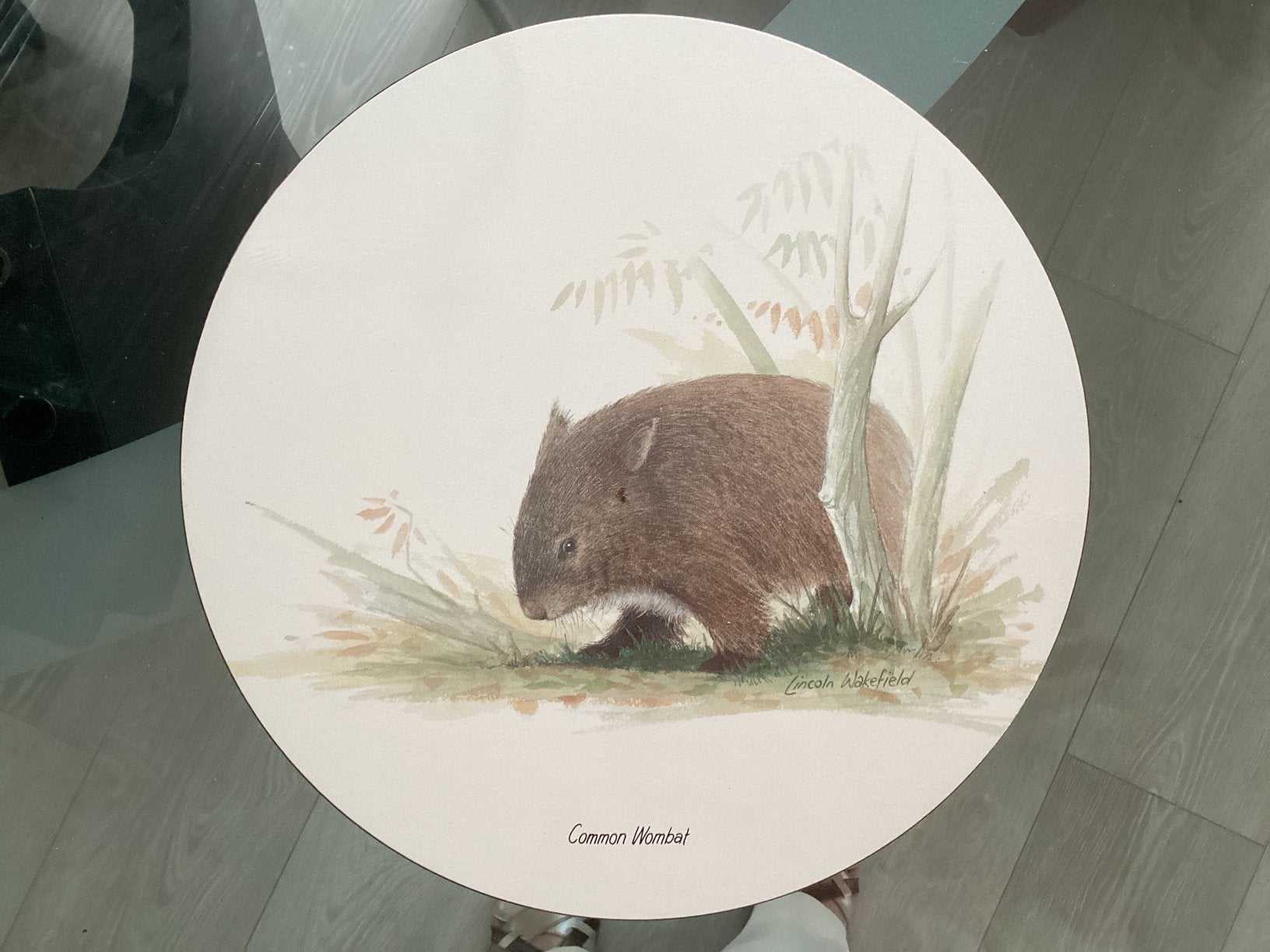 Common Wombat diam. 24 cm, Ophalen of Verzenden, Zo goed als nieuw