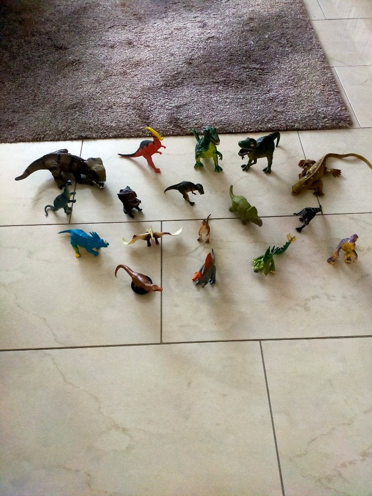 Dinosaurussen, Ophalen of Verzenden, Zo goed als nieuw, Jongen