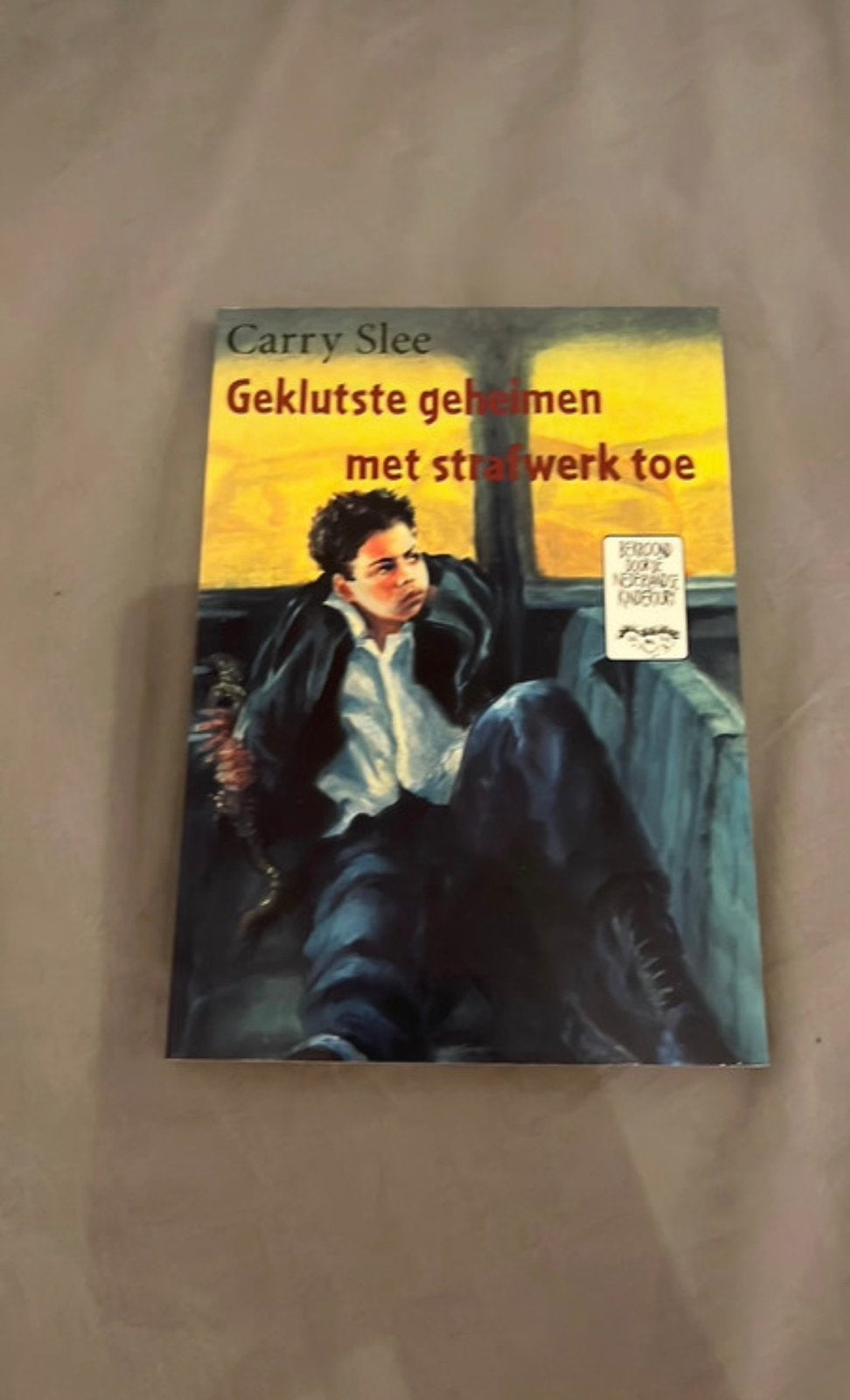 Geklutste geheimen met strafwerk toe, Ophalen of Verzenden, Zo goed als nieuw, Fictie algemeen