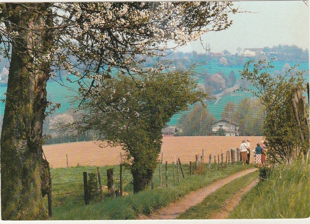 SLENAKEN  Klein Zwitserland, Verzenden, 1980 tot heden, Gelopen, Limburg
