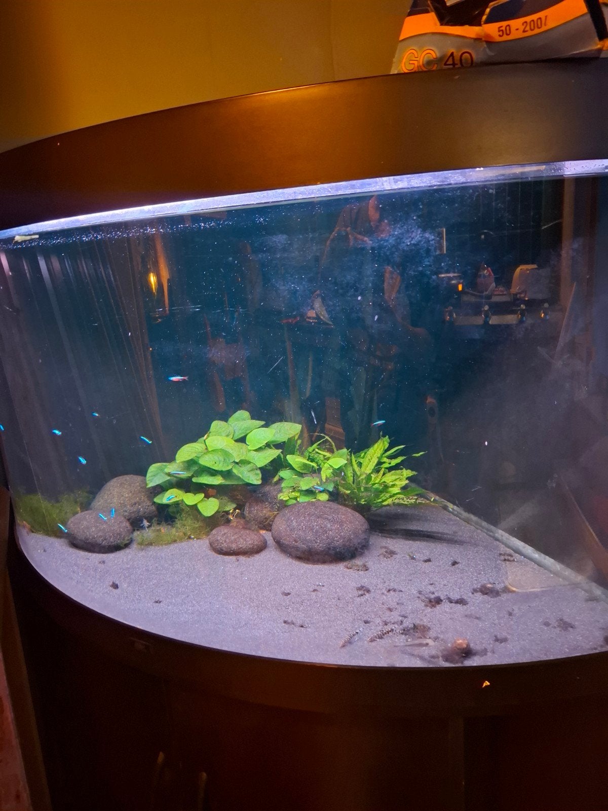 juwel, Ophalen, Gebruikt, Leeg aquarium, Juwel