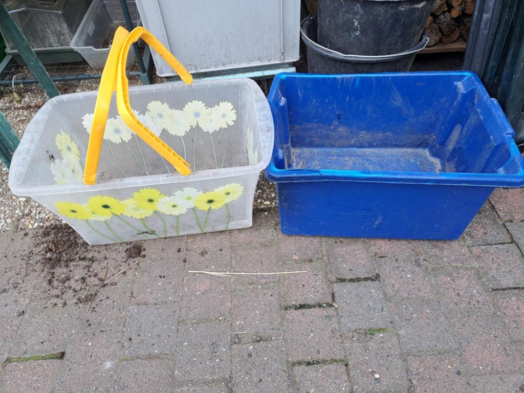 Gratis 2 bakken, Ophalen