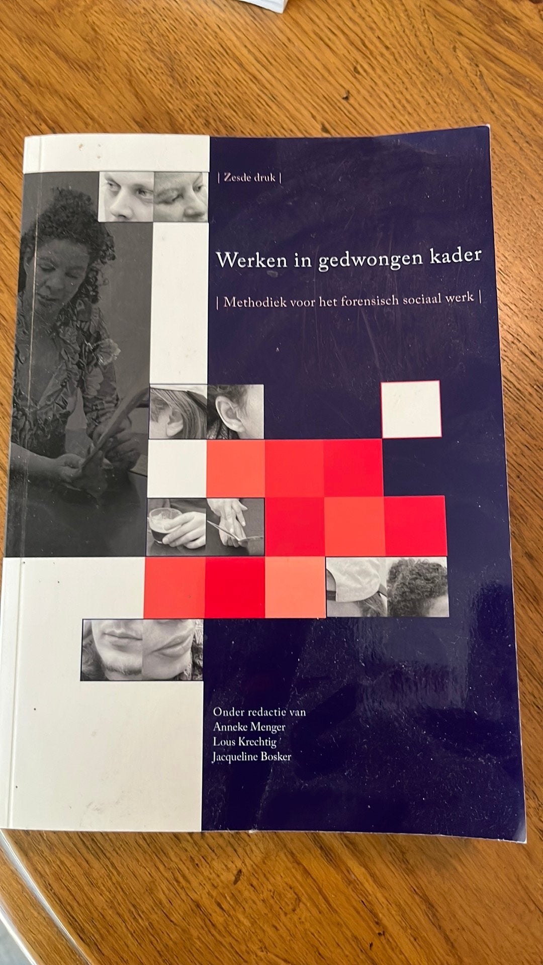 Lous Krechtig - Werken in gedwongen kader, Lous Krechtig; Jacqueline Bosker; Anneke Menger, Ophalen of Verzenden, Zo goed als nieuw