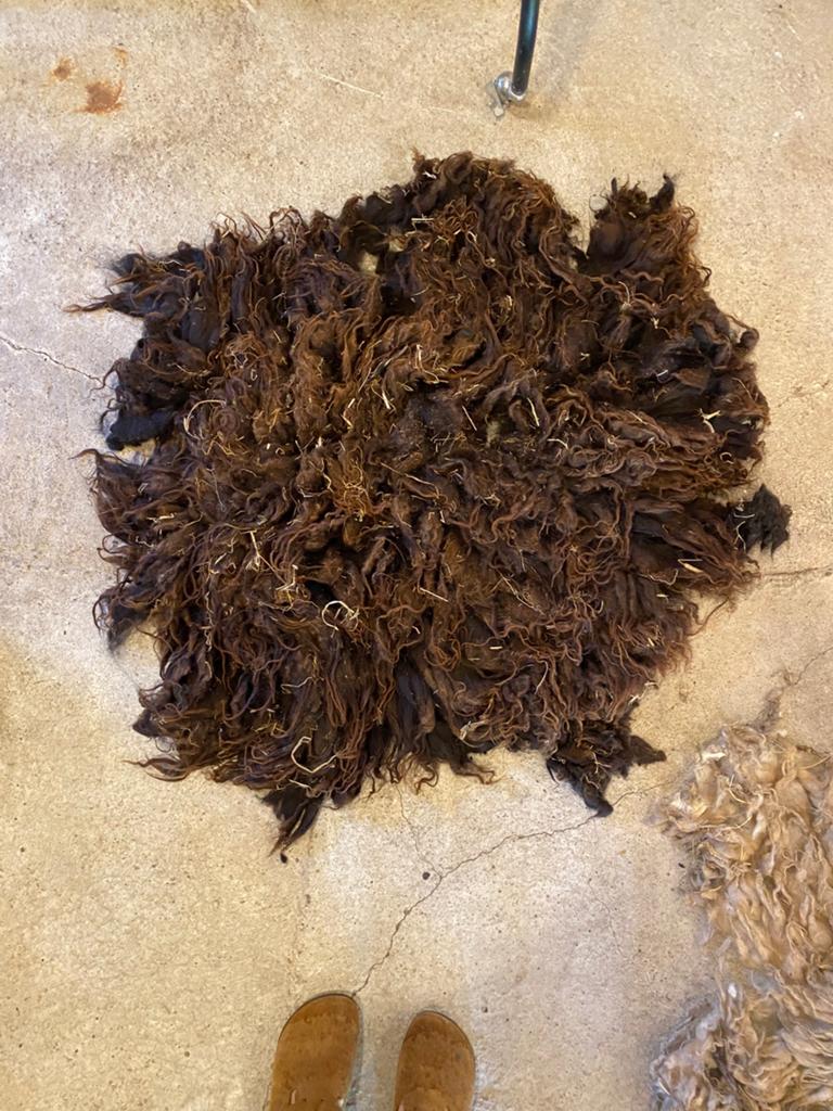 4x skudde schapenvacht schapenwol vilten, Ophalen of Verzenden, Wolvilt