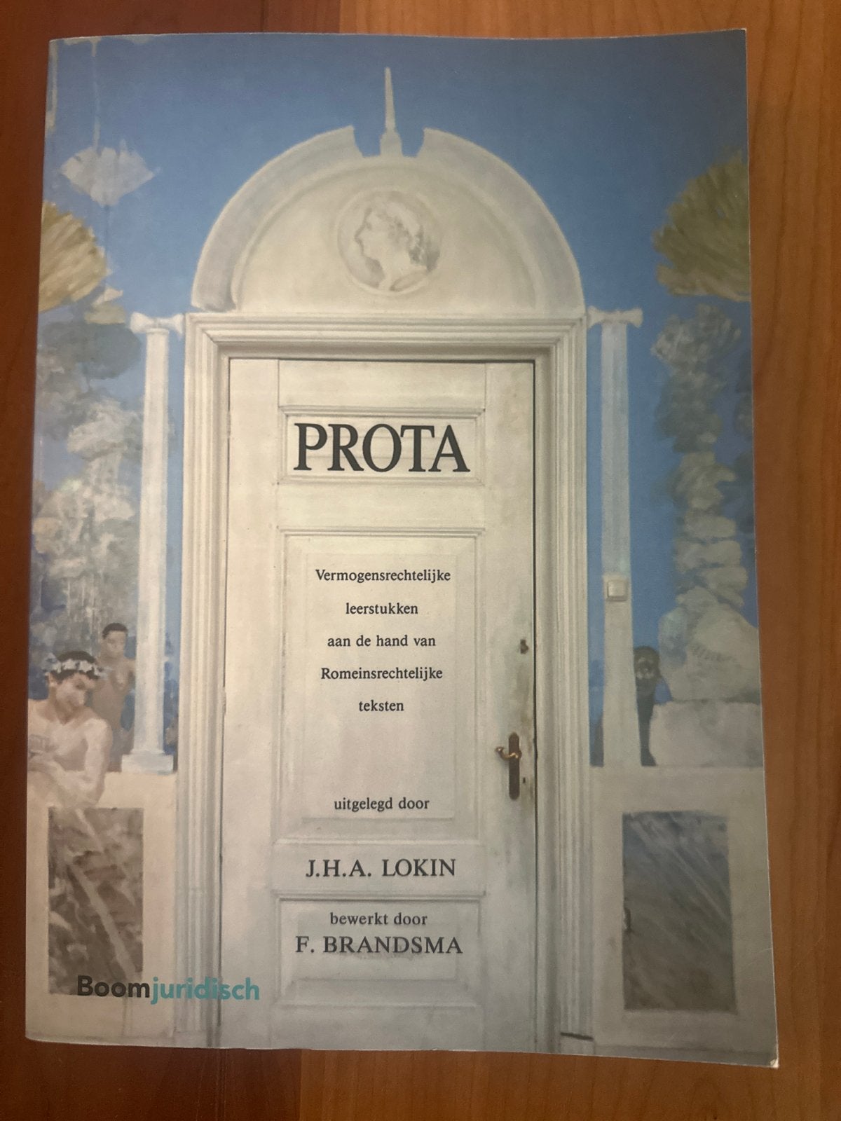 Prota - Lokin en Brandsma (10e druk) - Romeins recht, Boeken, Verzenden, Gamma, Gelezen, WO