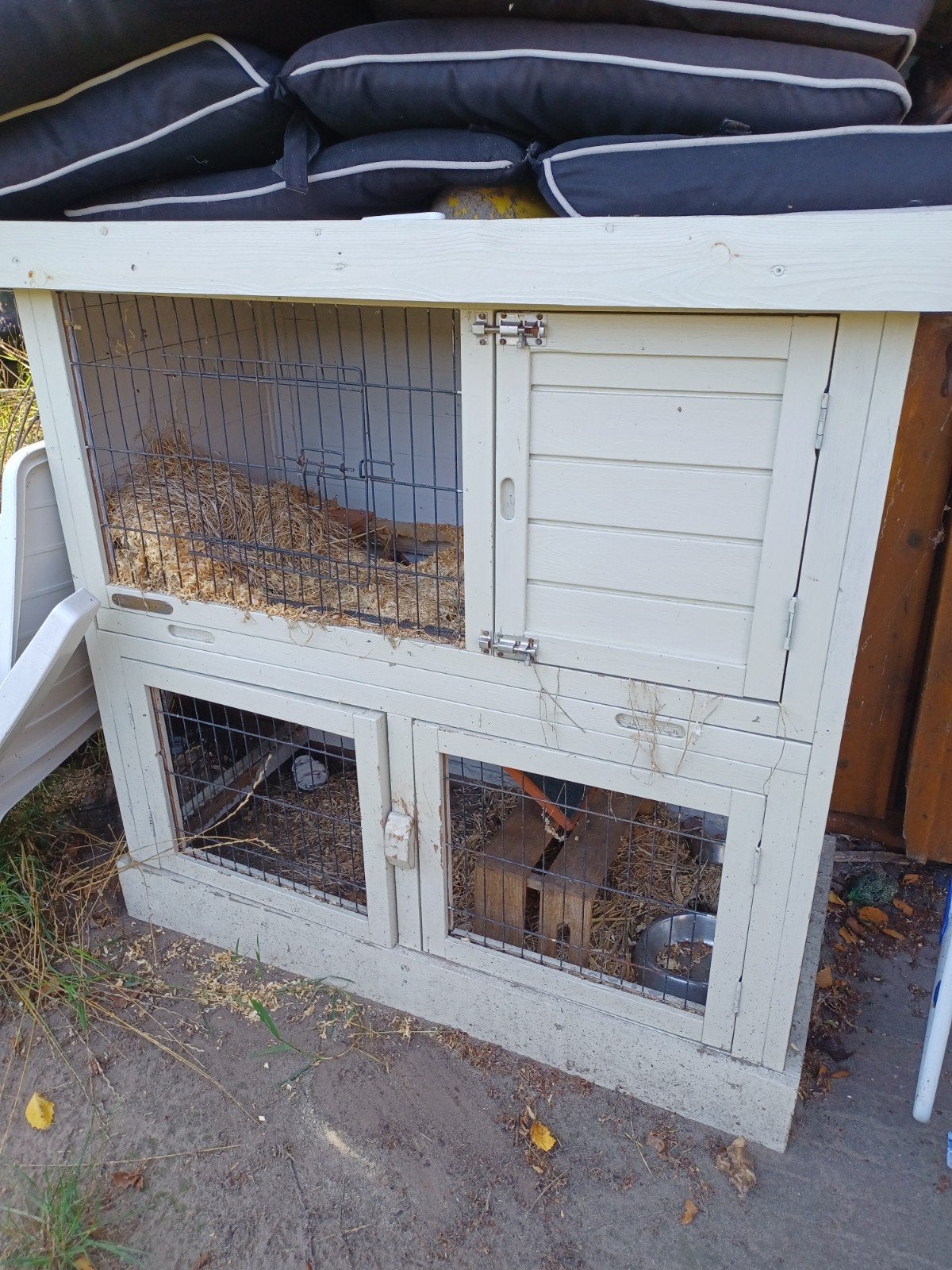 mooi groot hok voor konijn kip cavia mer trapje waterdicht d, Dieren en Toebehoren, Ophalen, 110 cm of meer, 90 cm of meer, Konijn