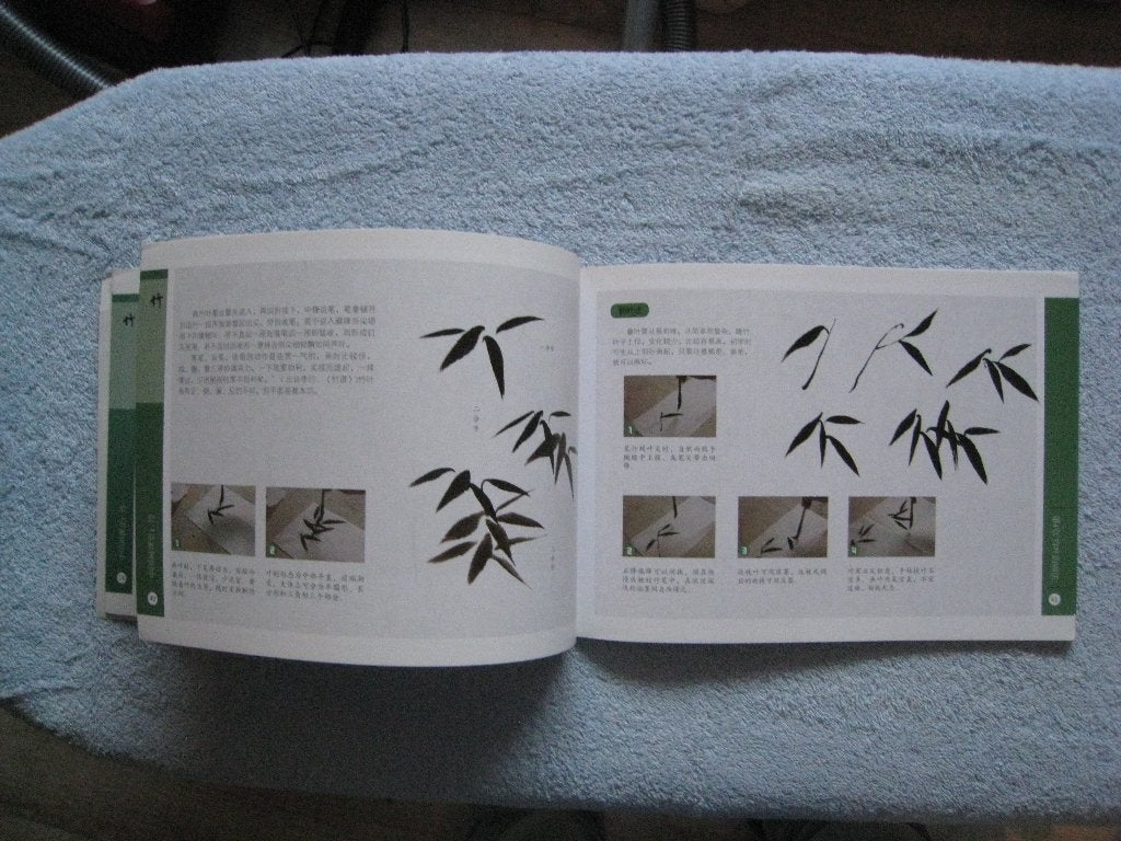 Foto 5 van Chinees aquarelboek