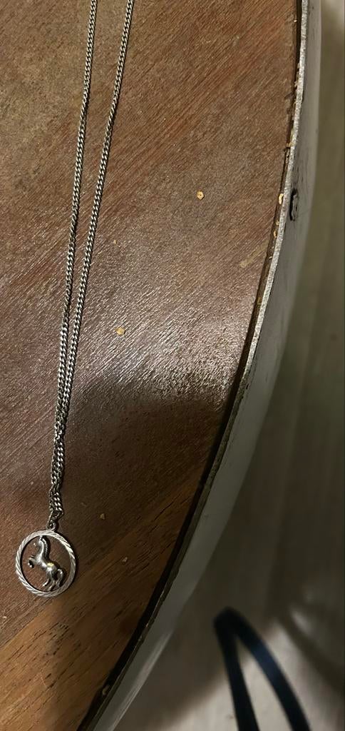 Zilveren  ketting met paardenhanger, Sieraden, Tassen en Uiterlijk, Kettingen, Met hanger, Ophalen of Verzenden, Zo goed als nieuw