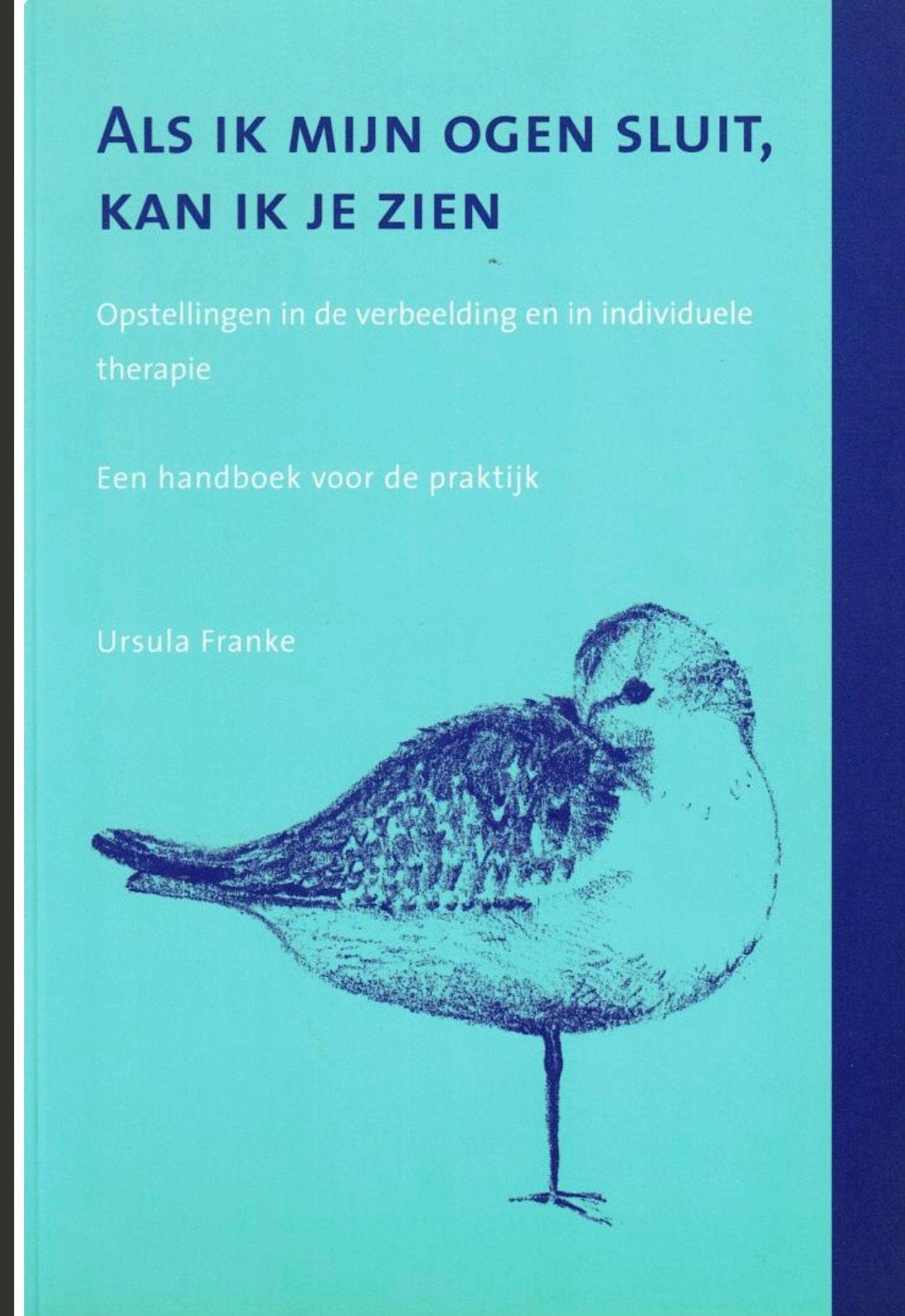 Als ik mijn ogen sluit kan ik je zien Ursula Franke NIEUW, Boeken, Ophalen of Verzenden, Zo goed als nieuw