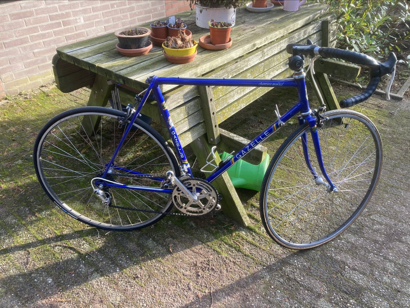 Gazelle Champion Mondial, Ophalen, Gebruikt, Gazelle, 10 tot 15 versnellingen