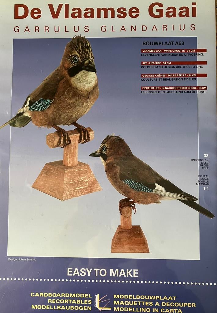 Bouwplaat Vlaamse Gaai, Ophalen of Verzenden, Nieuw