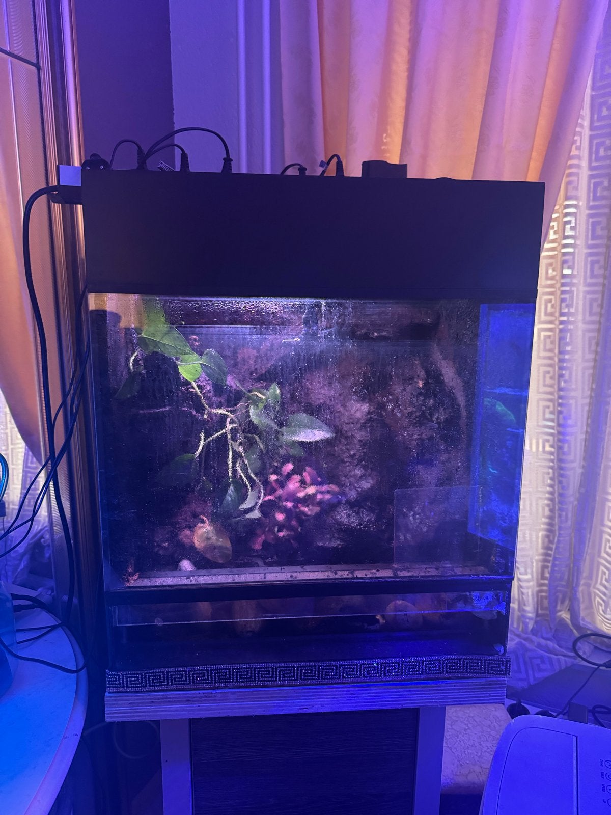 paludarium (met of zonder opruimploeg en krab), Ophalen, Gebruikt, Overige typen, Overige merken