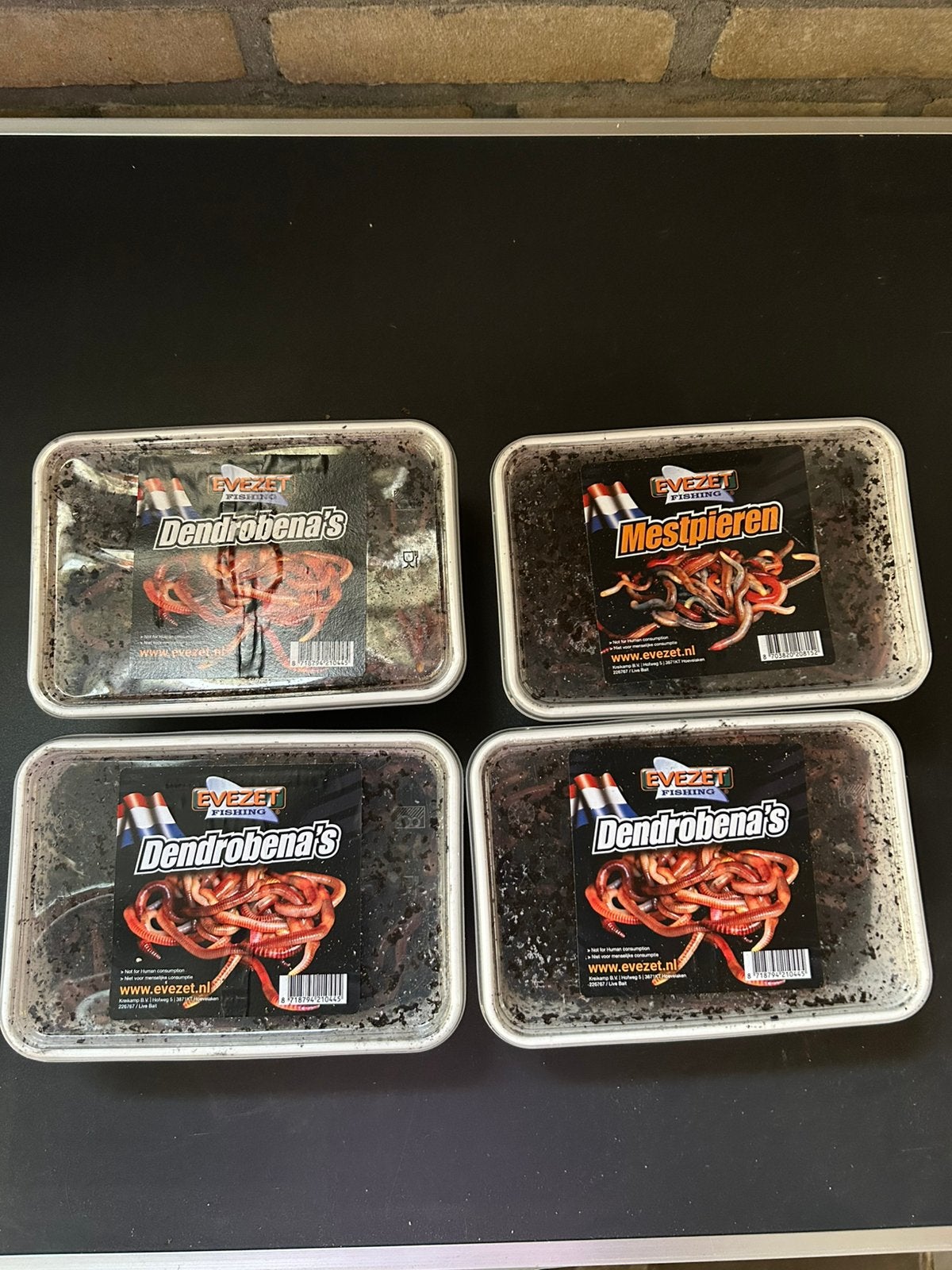 UITVERKOOP Bamibakken verse Wormen 2 voor €15, Ophalen, G, Overige typen, Nieuw