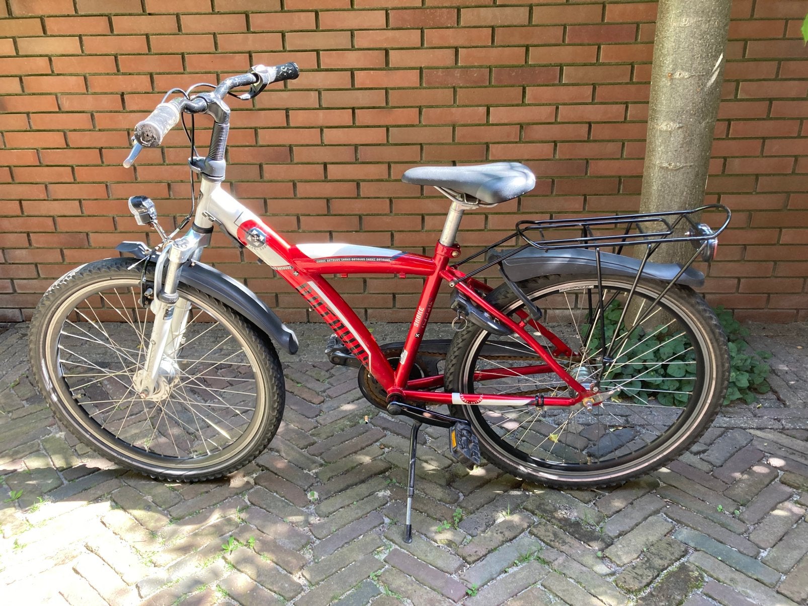 Batavus Snake kinderfiets 20 inch, Ophalen, Terugtraprem, Gebruikt, Versnellingen