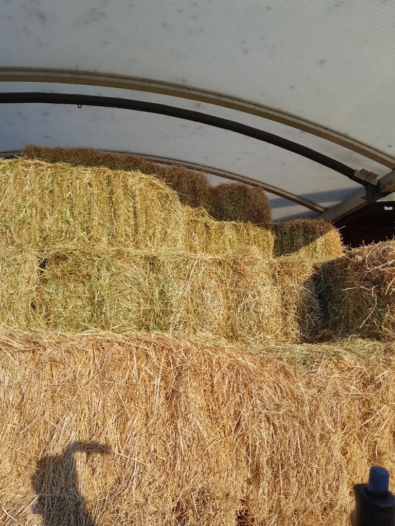Hooi pakken, Dieren en Toebehoren, Dierenvoeding, Ophalen, Vee