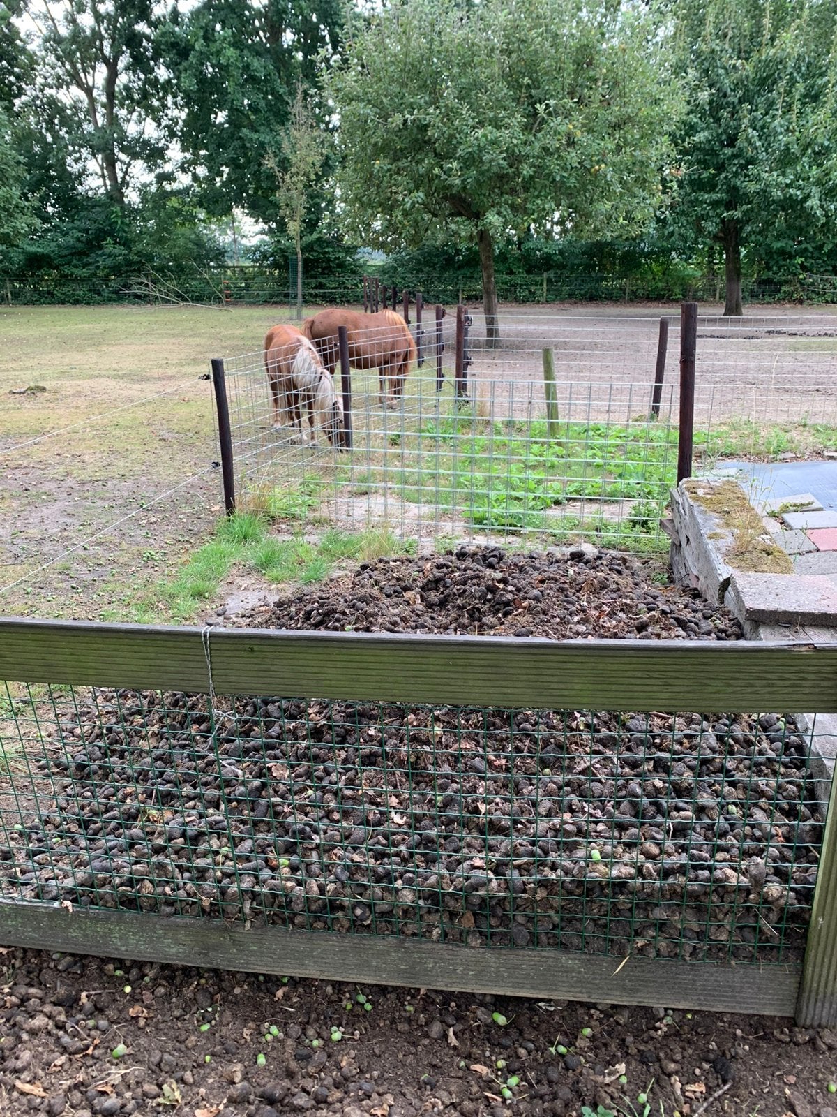 Strovrije paardenmest gratis af te halen, Tuin en Terras, Aarde en Mest, Ophalen, Mest