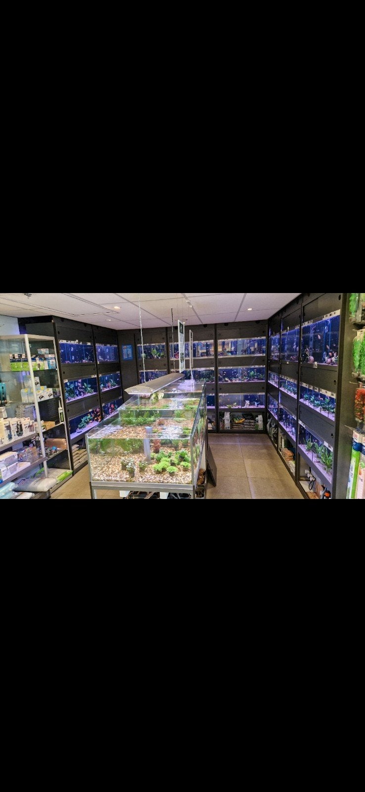 Aquarium stelling visstelling, Dieren en Toebehoren, Ophalen, Zo goed als nieuw, Leeg aquarium