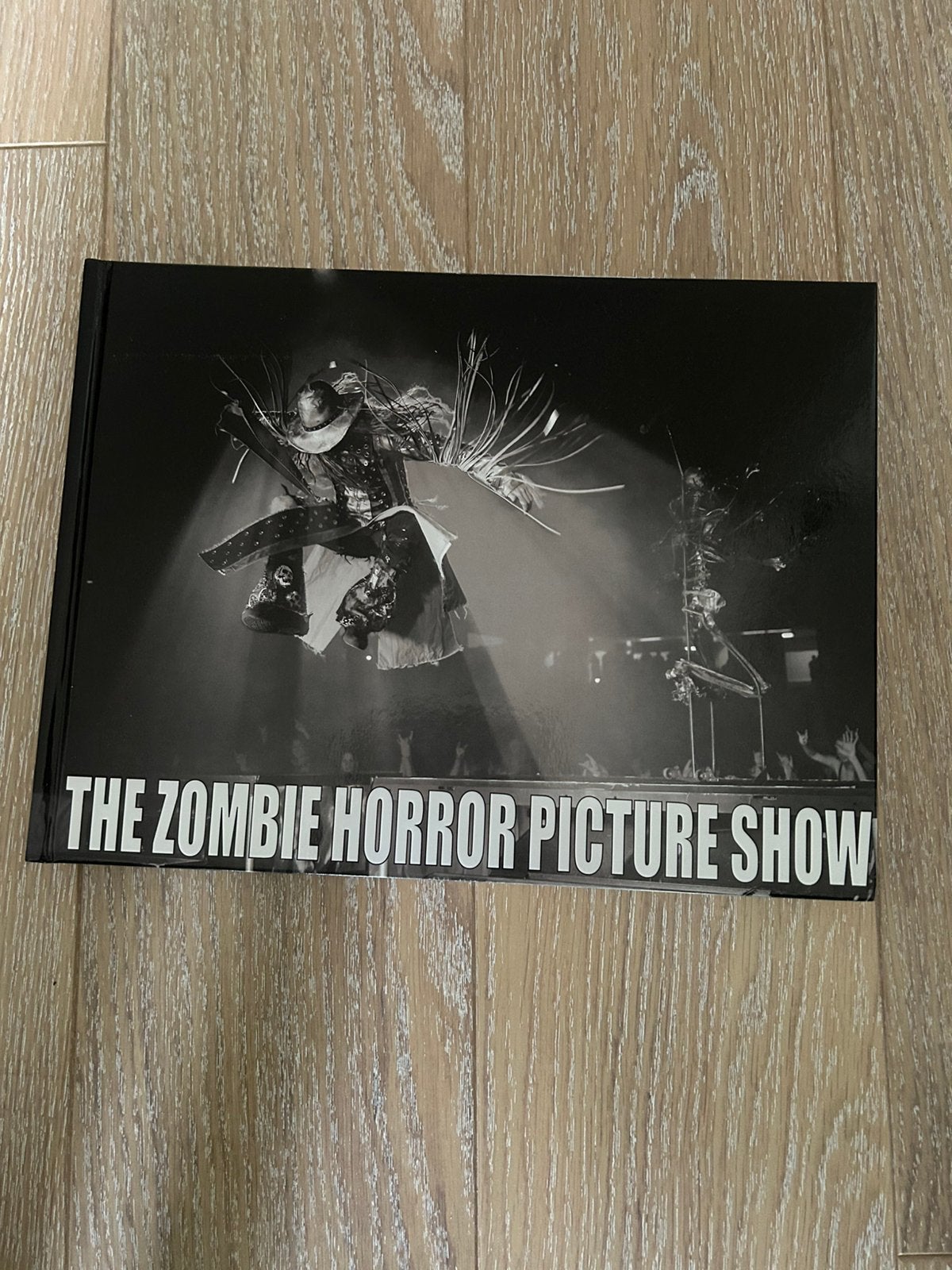 Rob Zombie horror picture show boek, Ophalen of Verzenden, Zo goed als nieuw, Artiest