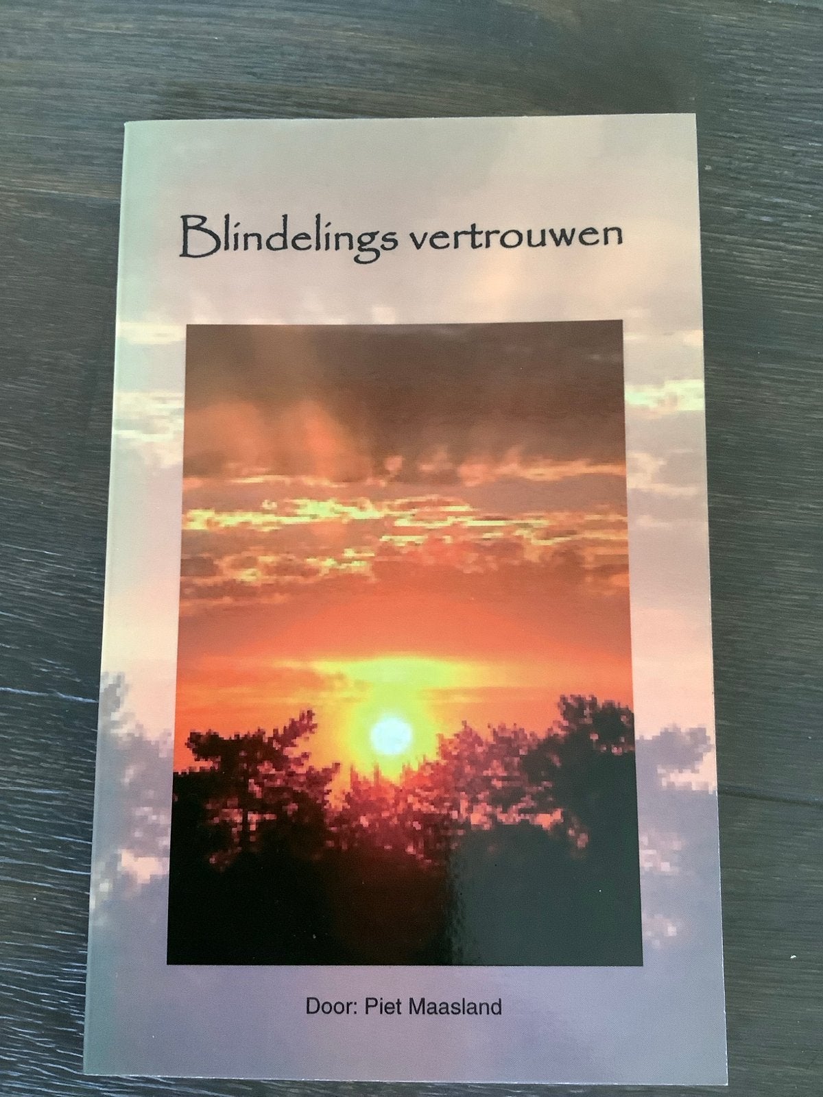 Blindelings vertrouwen - Piet Maasland, Ophalen of Verzenden, Zo goed als nieuw, Esoterie en Spiritualiteit