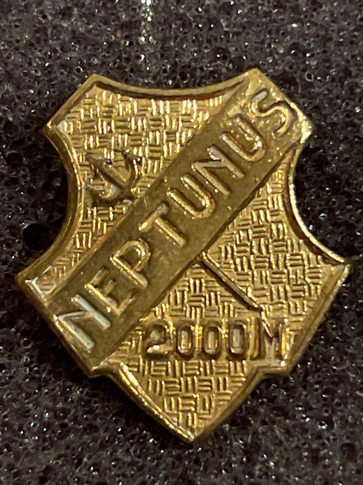 Vintage Neptunus 2000M Speldje - Goudkleurig  Schild, Ophalen of Verzenden, Zo goed als nieuw