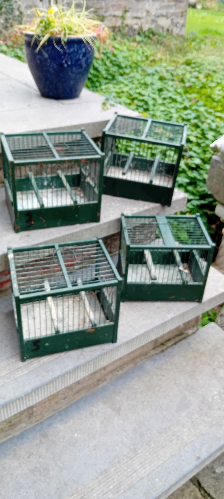 4 authentieke vogelkooitjes, Ophalen of Verzenden