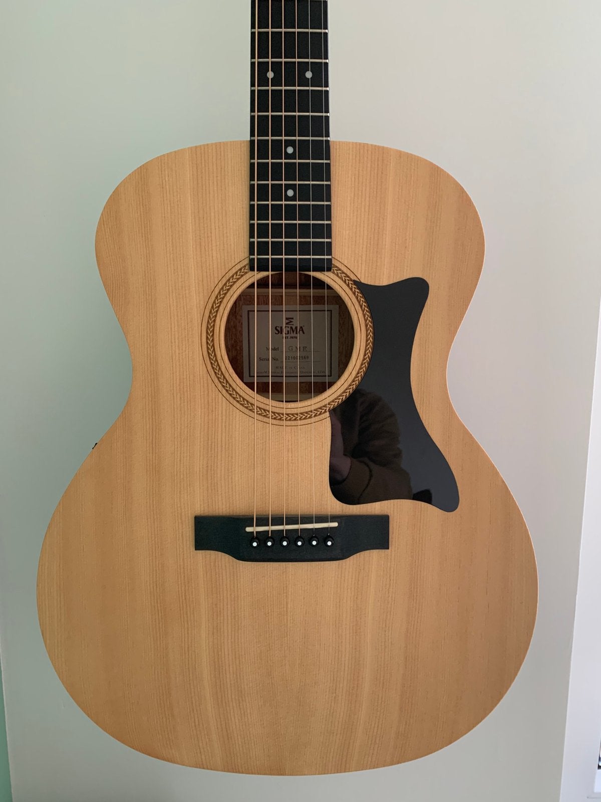 Sigma GME  semi akoestisch incl Hoes
