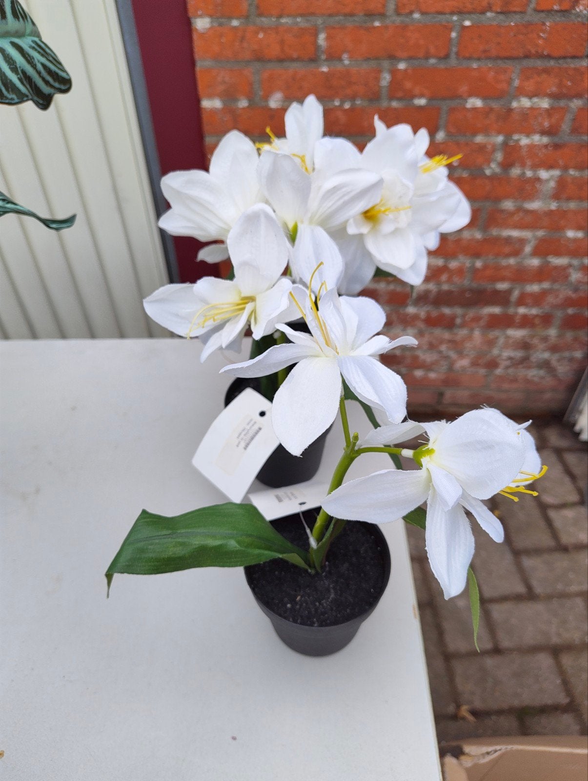 Diverse kunstplanten en -bloemen, Ophalen, Kunstplant, Nieuw, Kunststof