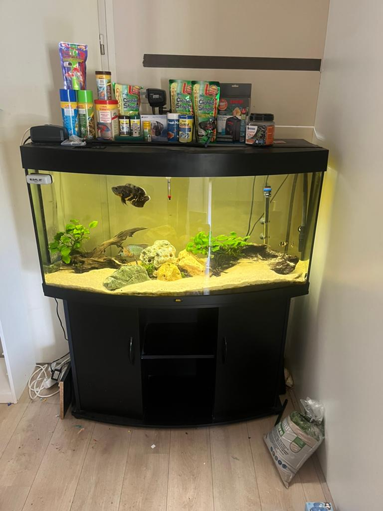 Aquarium juwel vision 260 L, Dieren en Toebehoren, Vissen | Aquaria en Toebehoren, Ophalen, Zo goed als nieuw, Leeg aquarium
