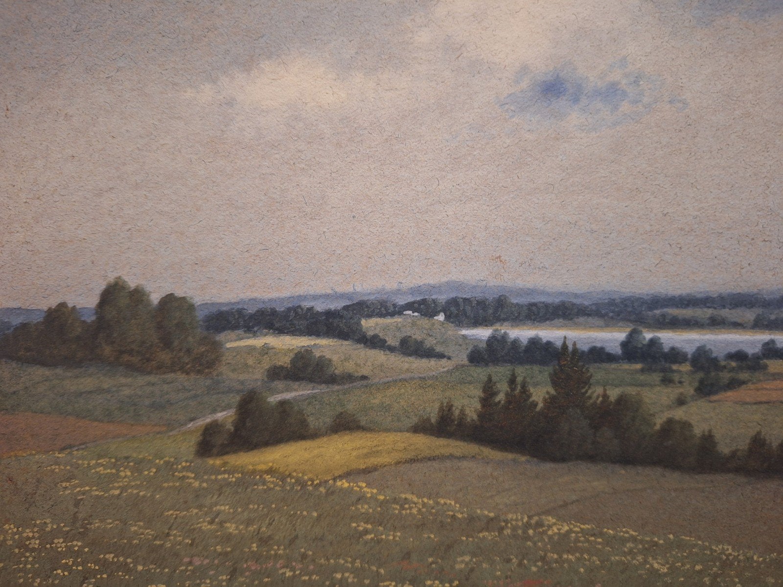 Aquarel Landschap door Hely Drien, Gesigneerd, Ophalen of Verzenden, Landschap, Aquarel