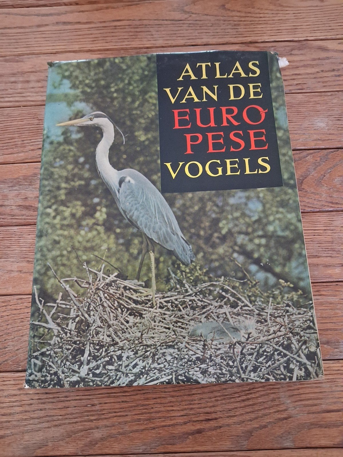 Klassieke Atlas van de Europese Vogels - K.H. Voous (1960), Boeken, Ophalen of Verzenden, Gelezen, Vogels, K.H. Voous
