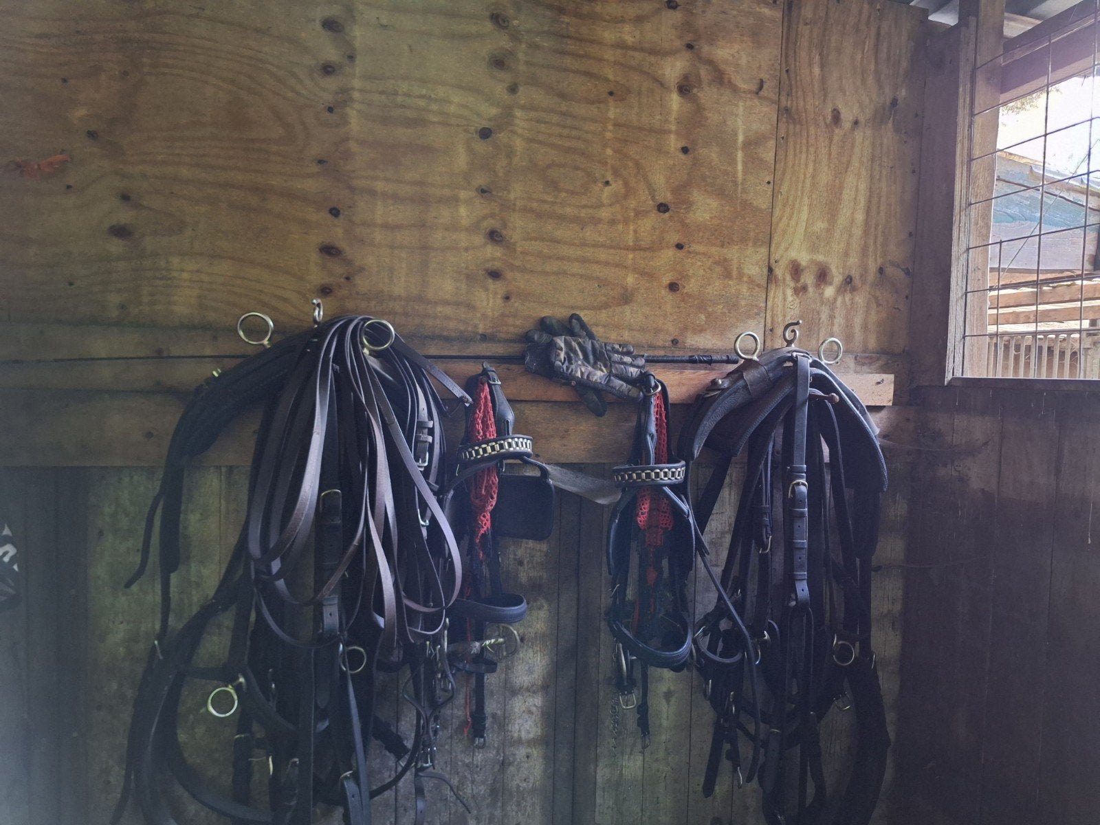 tuigen, Ophalen, Cob
