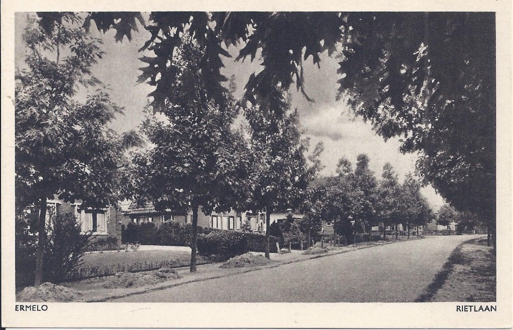 Ermelo Rietlaan Oude Ongelopen Ansichtkaart ( A2367 ), Ophalen of Verzenden, 1980 tot heden, Ongelopen, Gelderland