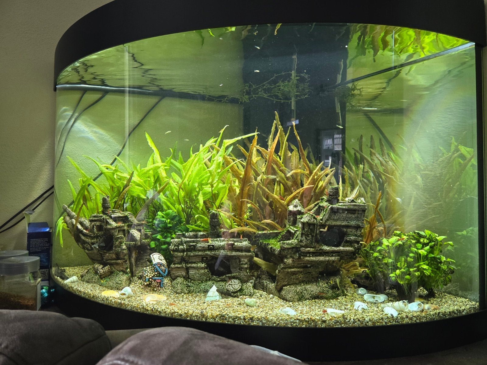 jewel hoekaquarium 190 liter, Ophalen, Inclusief toebehoren, Gevuld zoetwateraquarium, Juwel